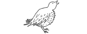 tweets